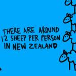 Heard_of_sheep