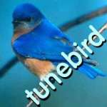 tunebird