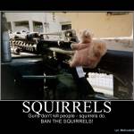 Squirrelspin